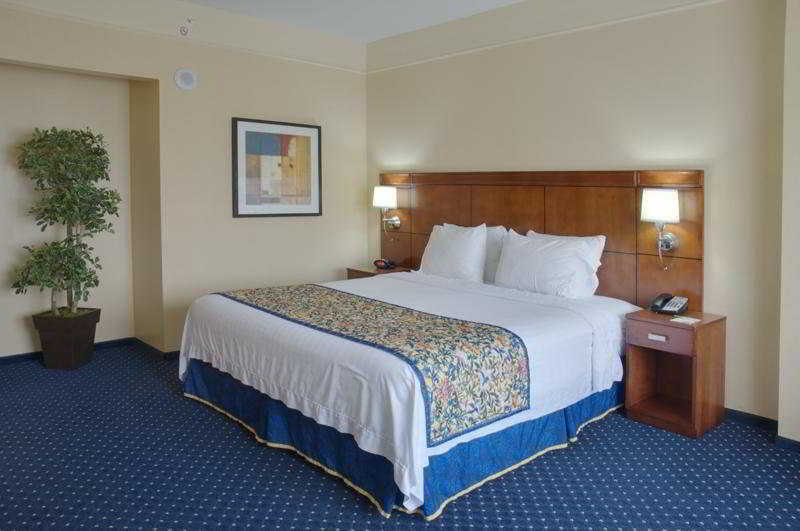 Courtyard By Marriott Houston Galleria Kamer foto